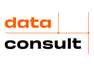 DataConsult logo duże czarne