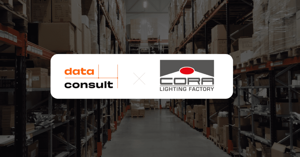 cora lighting factory